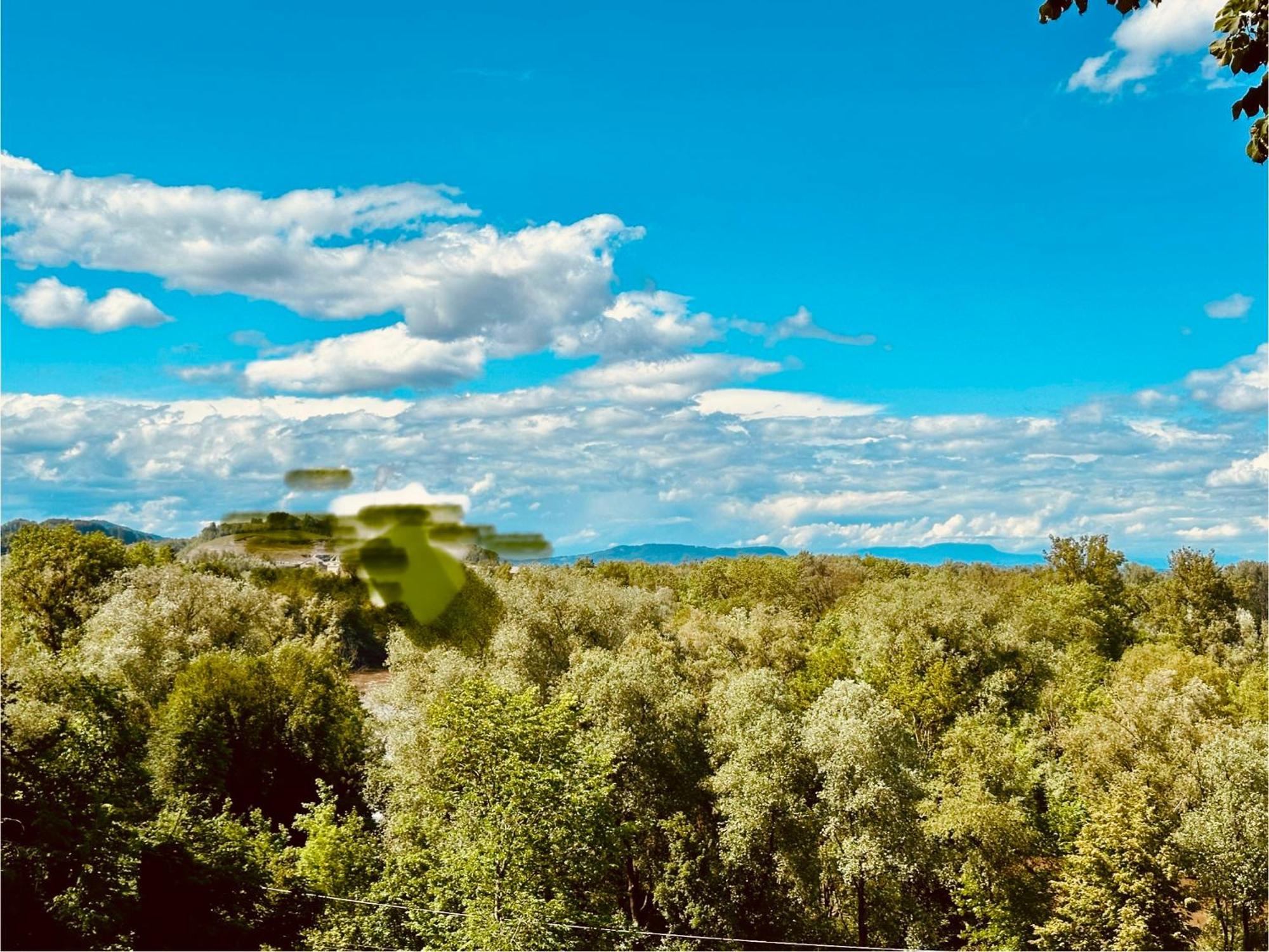Georgi Schloss - Boutique Hotel Ehrenhausen Exteriör bild